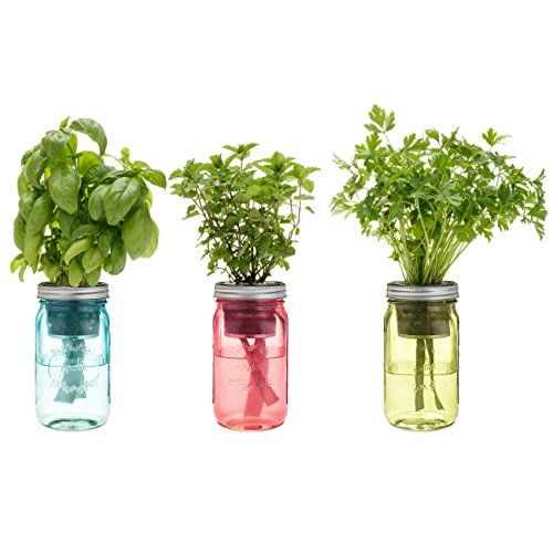 Kitchen Herb Kit – Three Self-Watering Indoor Planters With Organic Basil, Organic Parsley, And Non-Gmo Mint Seeds.