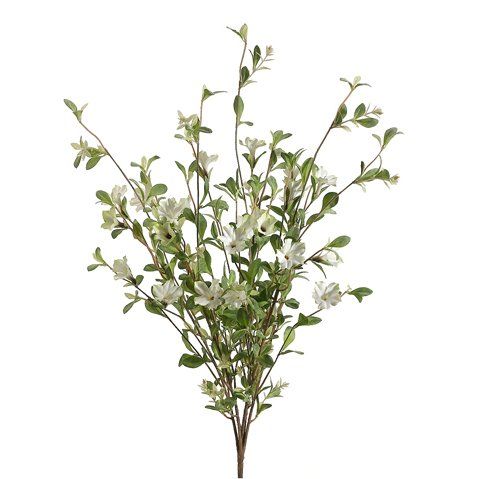 30" Wild Petunia Bush X5 Cream Purple (Pack Of 6)