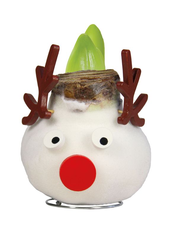 A touch of Wax Reindeer