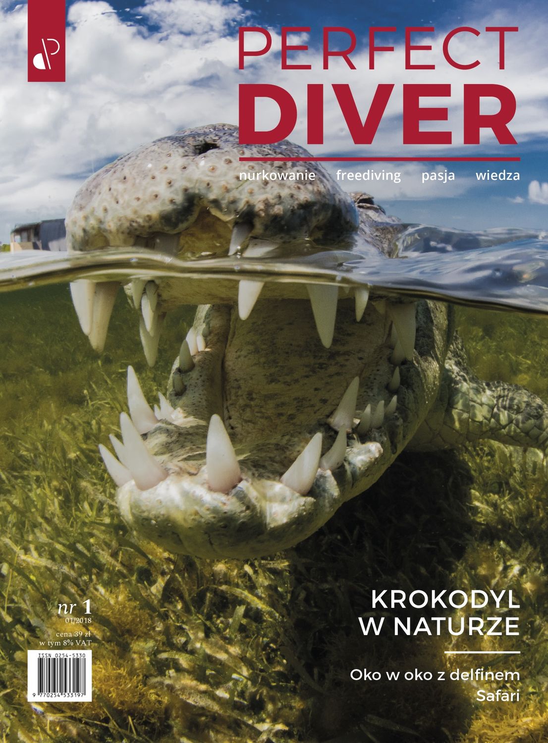 Magazyn nurkowy Perfect Diver wydanie nr 01