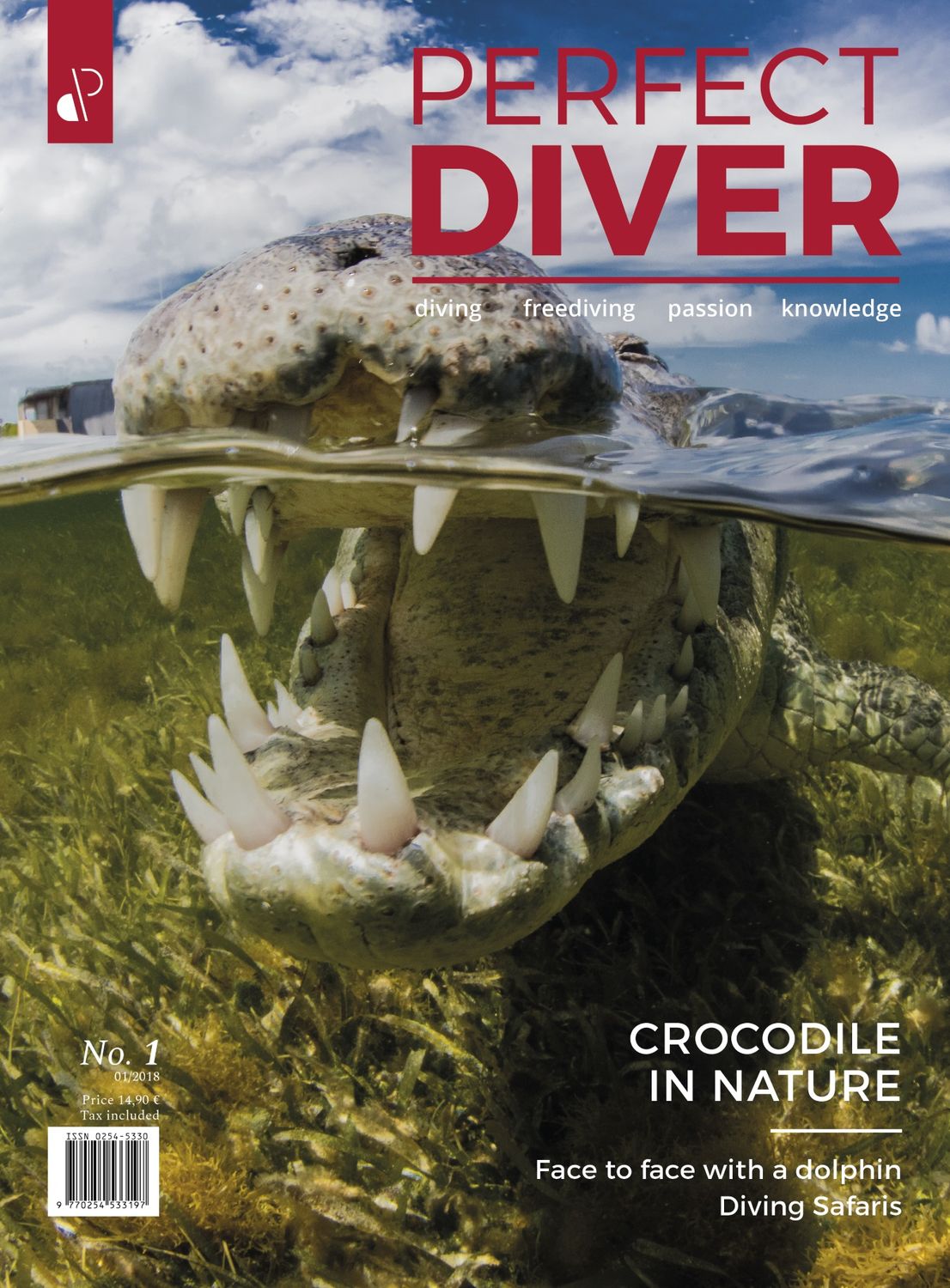 Perfect Diver Magazine 01 issue (english !!!)