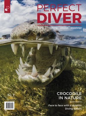 Digital edition Perfect Diver Magazine 01 issue (english !!!)