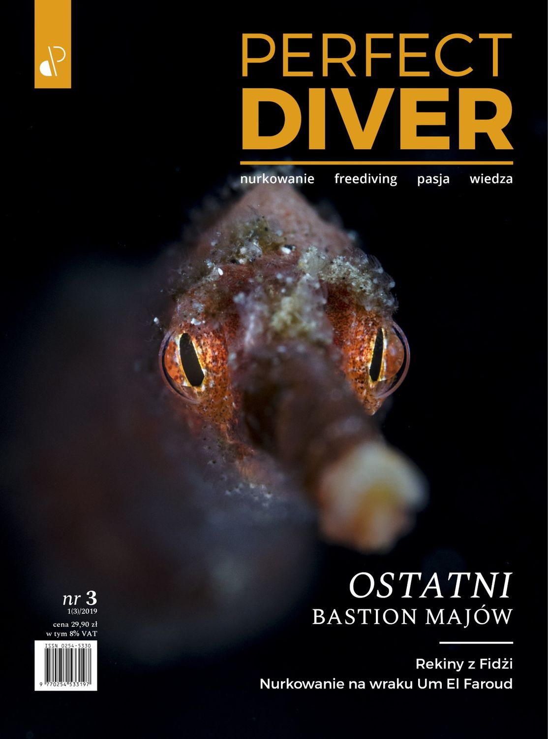 Magazyn nurkowy Perfect Diver wydanie nr 03