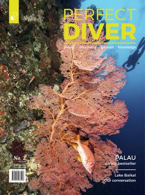 Perfect Diver Magazine 02 issue (english !!!)