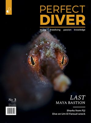 Digital edition Perfect Diver Magazine 03 issue (english !!!)