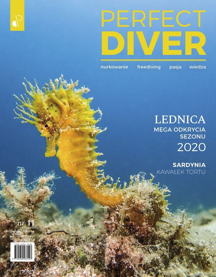 Magazyn nurkowy Perfect Diver wydanie nr 11