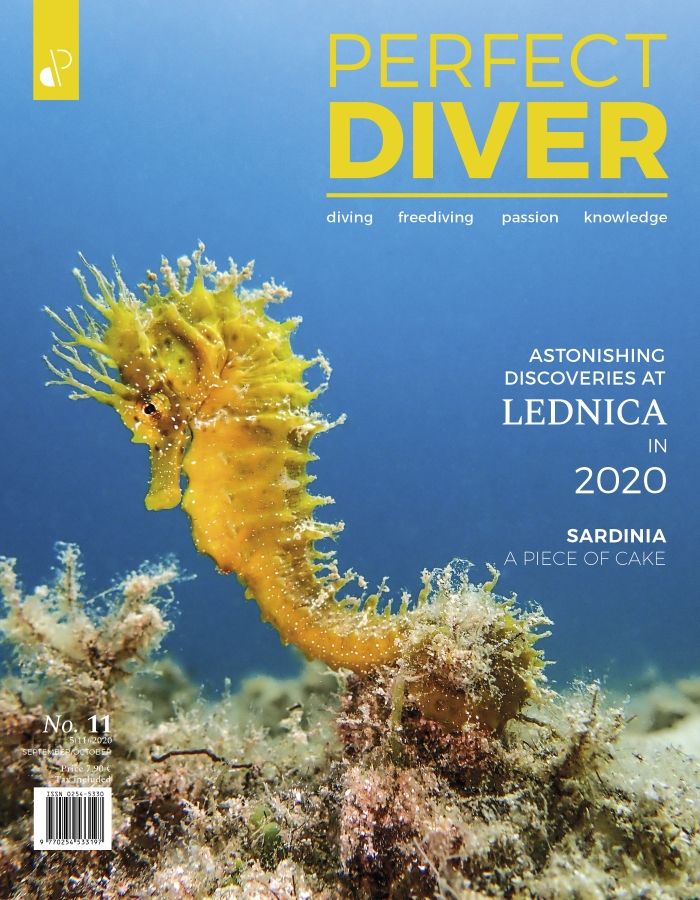 Digital edition Perfect Diver Magazine 11 issue (english !!!)