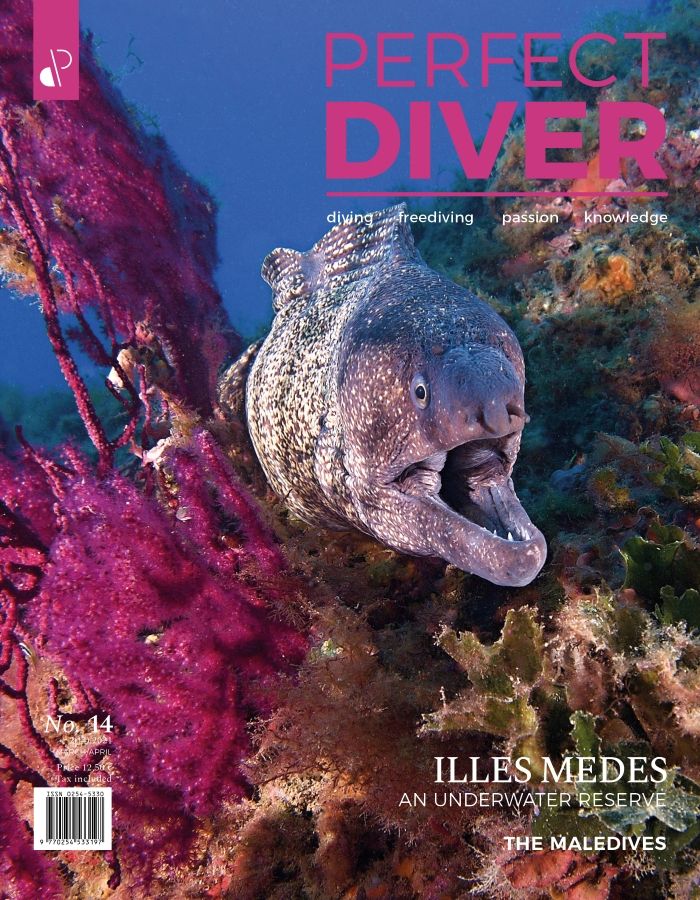 Digital edition Perfect Diver Magazine 14 issue (english !!!)