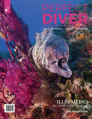 Perfect Diver Magazine 14 issue (english !!!)