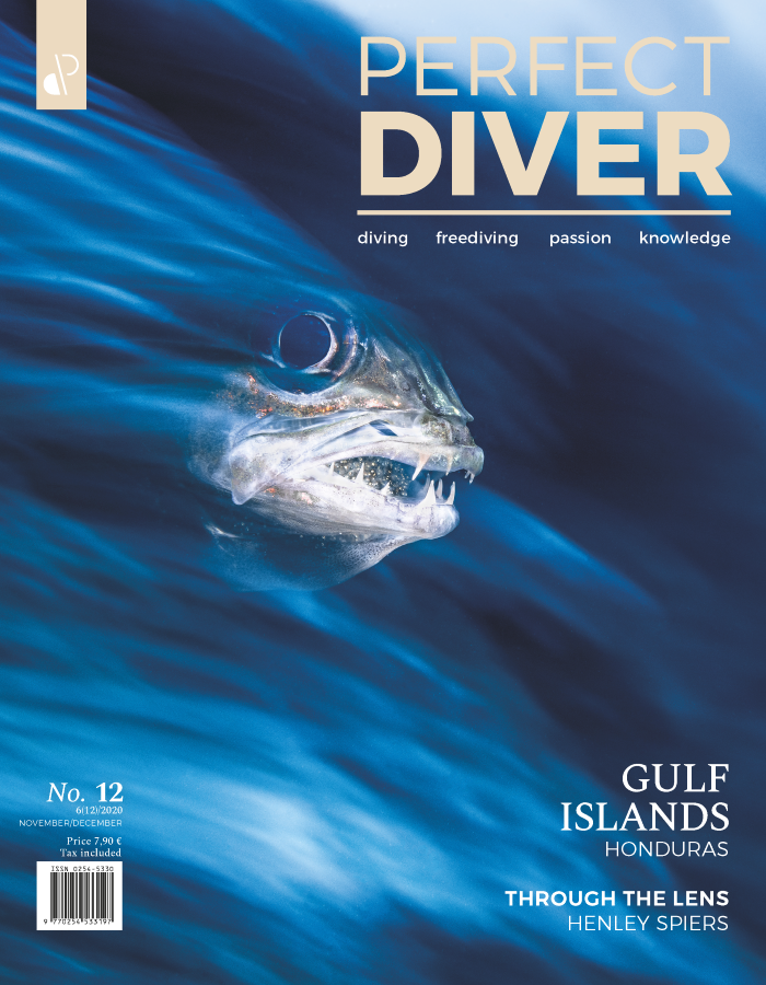 Digital edition Perfect Diver Magazine 12 issue (english !!!)