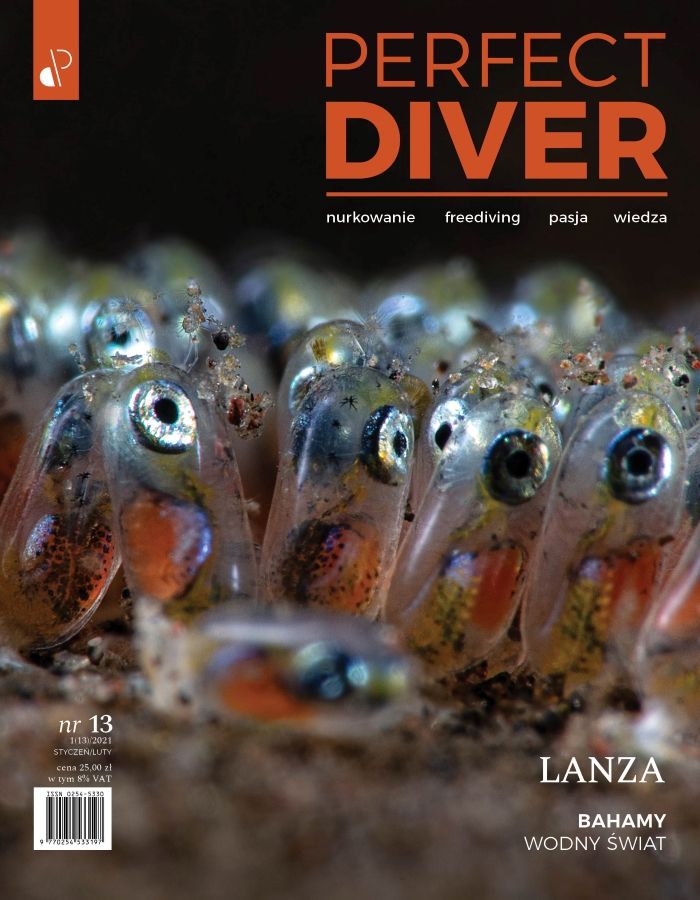 Cyfrowe wydanie Magazyn nurkowy Perfect Diver wydanie nr 13
