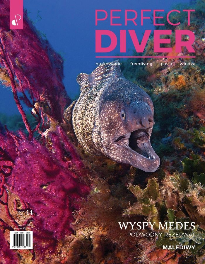 Cyfrowe wydanie Magazyn nurkowy Perfect Diver wydanie nr 14