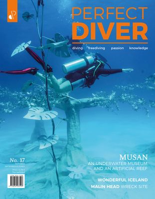 Perfect Diver Magazine 17 issue (english !!!)