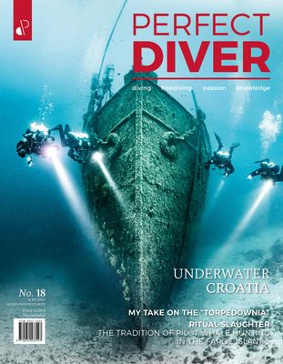 Perfect Diver Magazine 18 issue (english !!!)