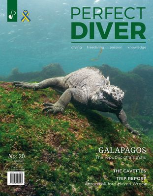 Perfect Diver Magazine 20 issue (english !!!)