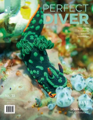 Perfect Diver Magazine 23 issue (english !!!)