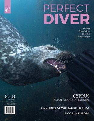 Perfect Diver Magazine 24 issue (english !!!)