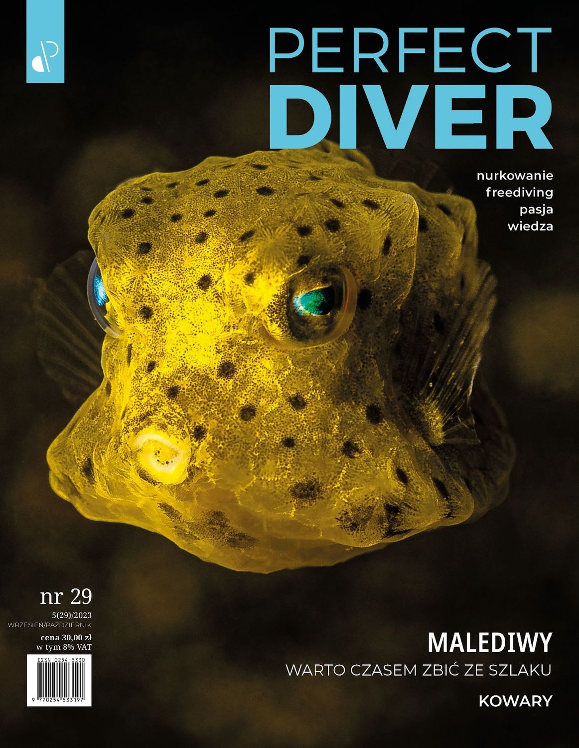 Cyfrowe wydanie Magazyn nurkowy Perfect Diver wydanie nr 29