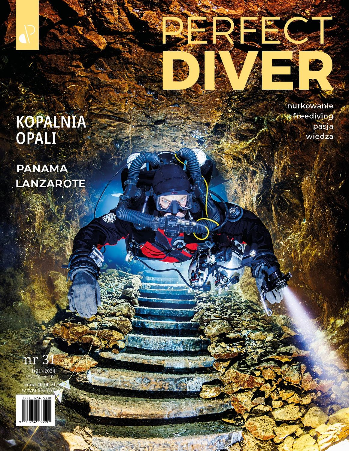 Cyfrowe wydanie Magazyn nurkowy Perfect Diver wydanie nr 31