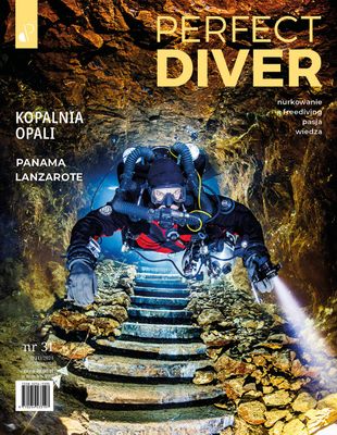 Magazyn nurkowy Perfect Diver wydanie nr 31