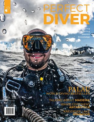 Perfect Diver Magazine 33 issue (english !!!)