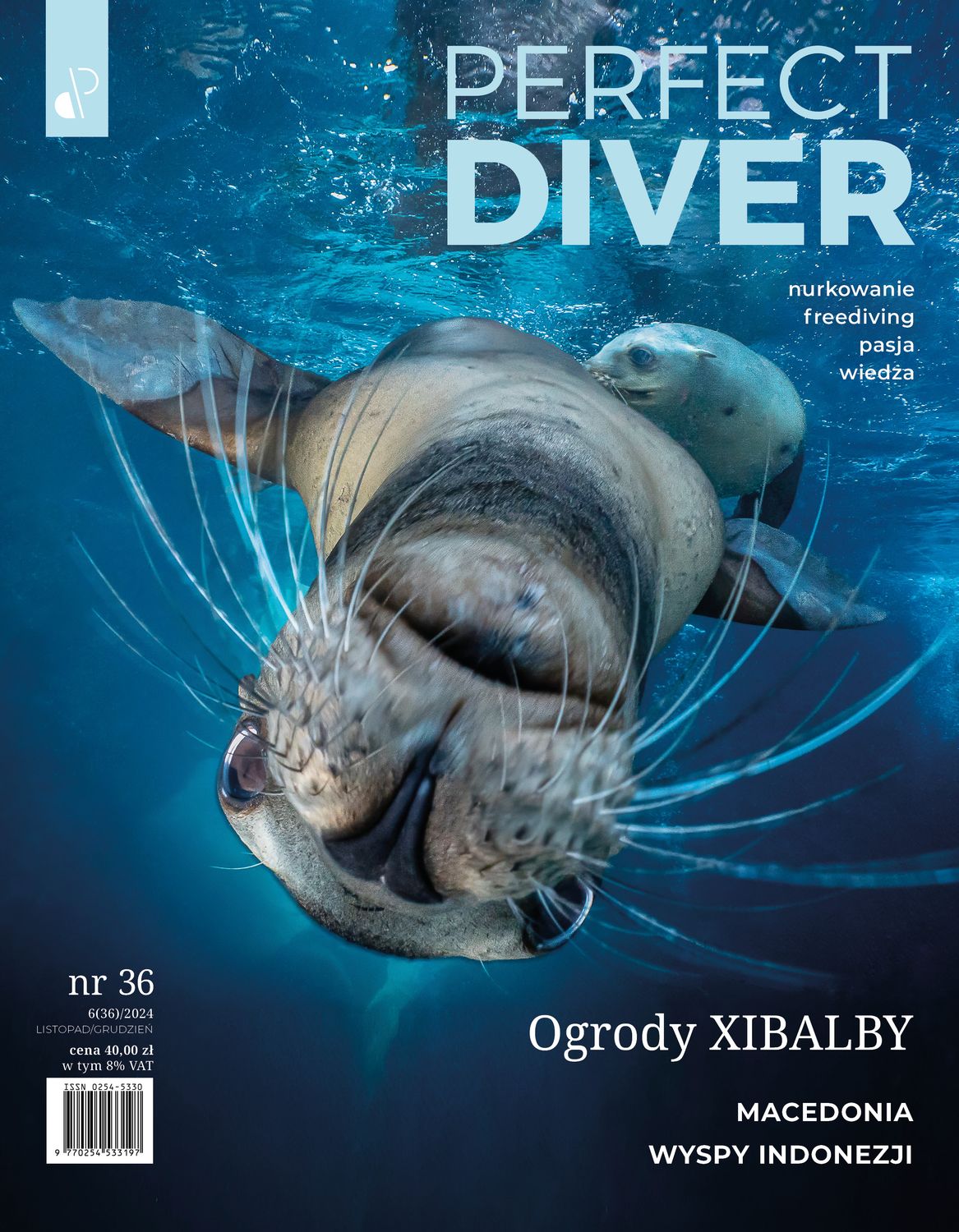 Magazyn nurkowy Perfect Diver wydanie nr 36