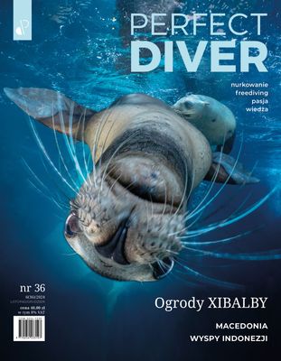 Magazyn nurkowy Perfect Diver wydanie nr 36