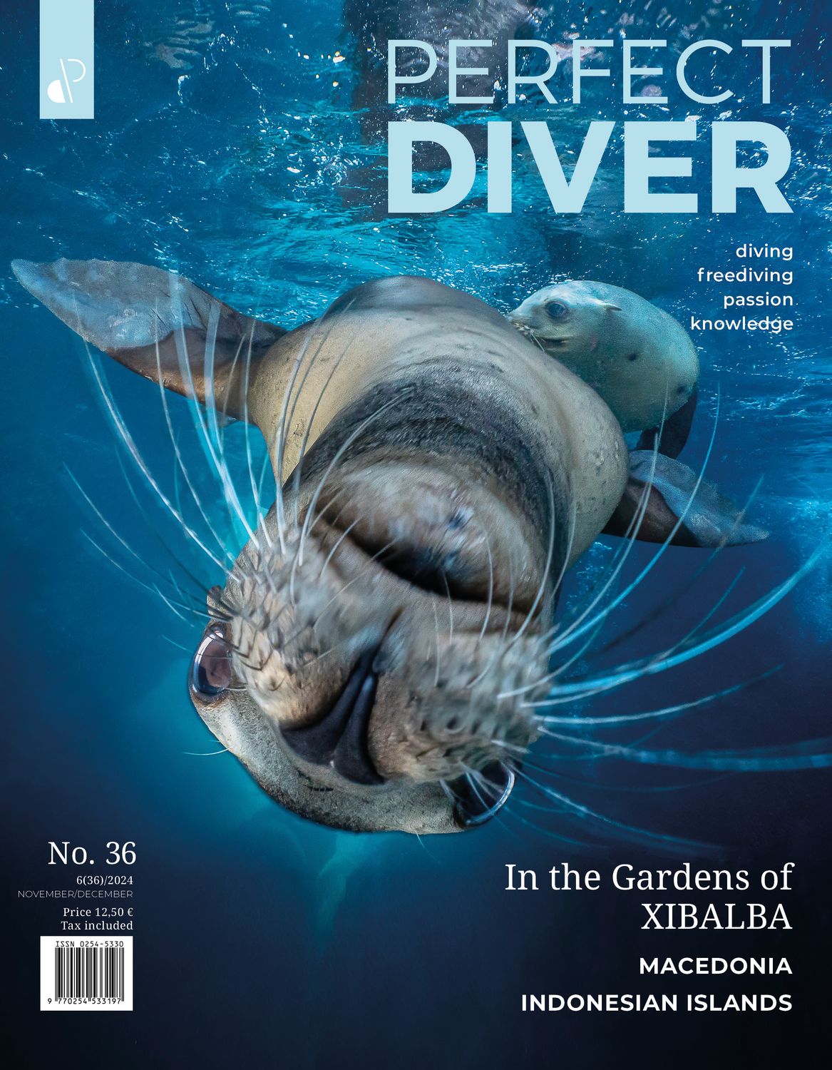 Digital edition Perfect Diver Magazine 36 issue (english !!!)