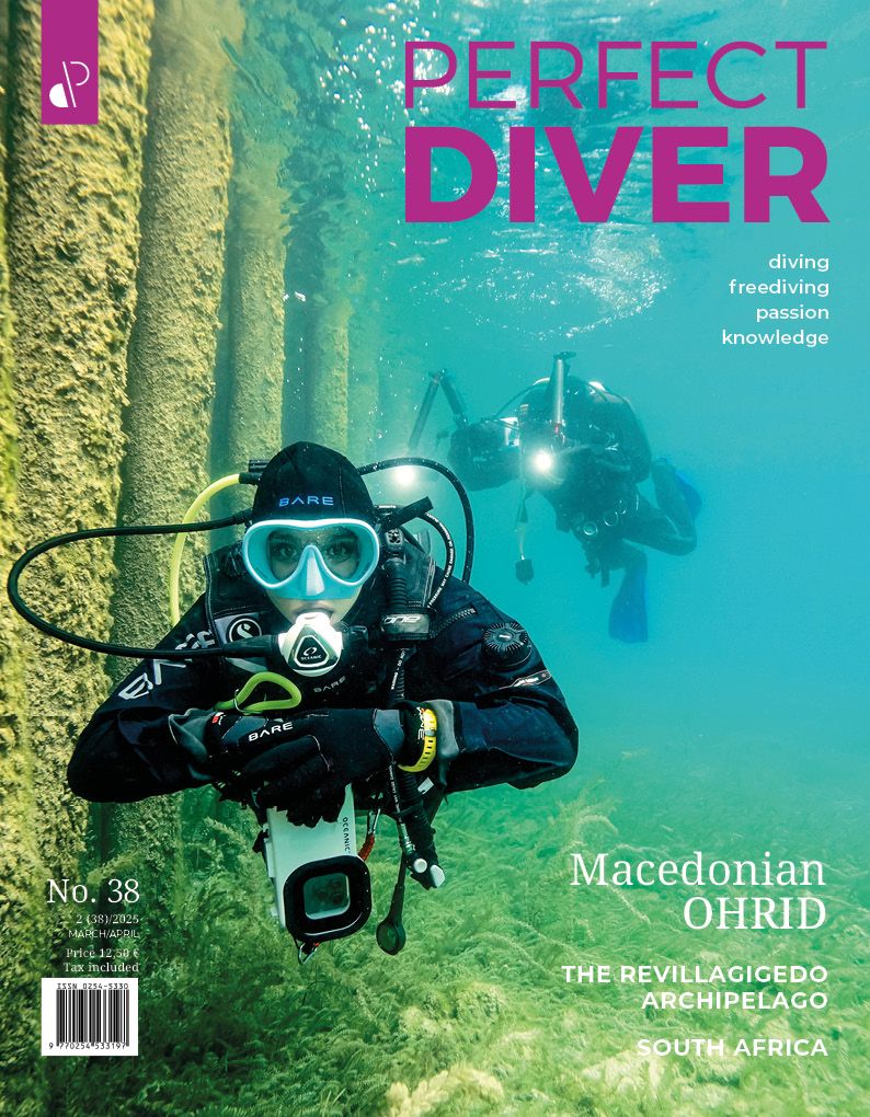 Perfect Diver Magazine 38 issue Diving Freediving Passion Knowledge