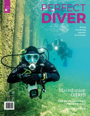 Perfect Diver Magazine 38 issue Diving Freediving Passion Knowledge