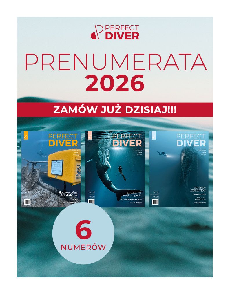 Prenumerata roczna (6 numerów)