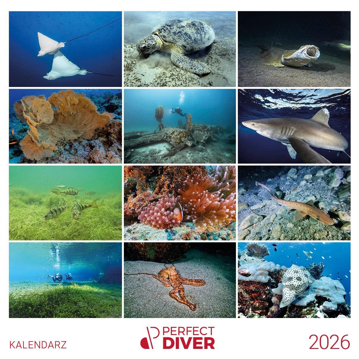 Kalendarz 2026 Perfect Diver