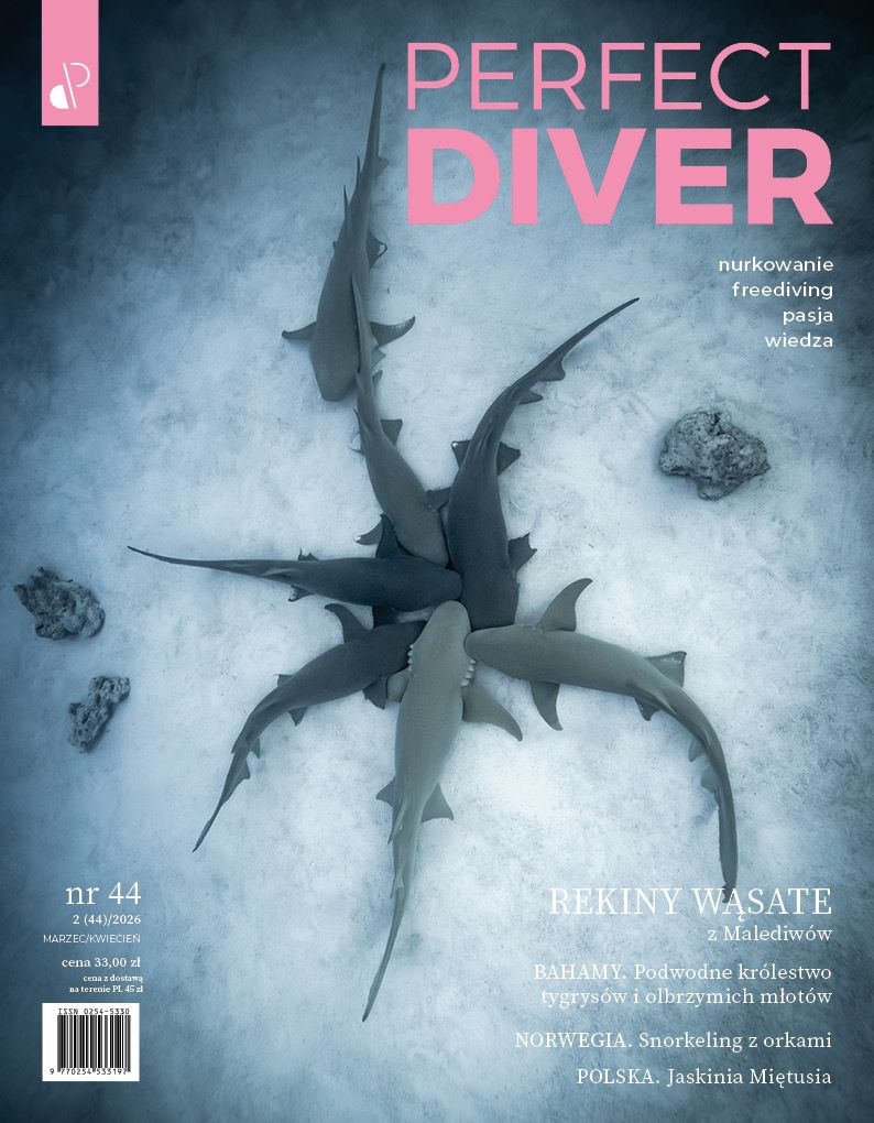 Cyfrowe wydanie Magazyn nurkowy Perfect Diver wydanie nr 44