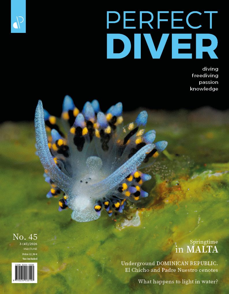 Digital edition Perfect Diver Magazine 45 issue (english !!!)