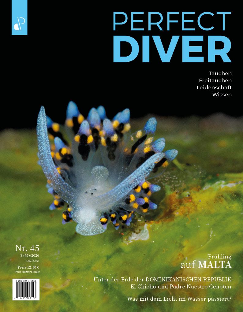 Digitale Ausgabe des Perfect Diver Magazins Nr. 45 (deutsch !!!)