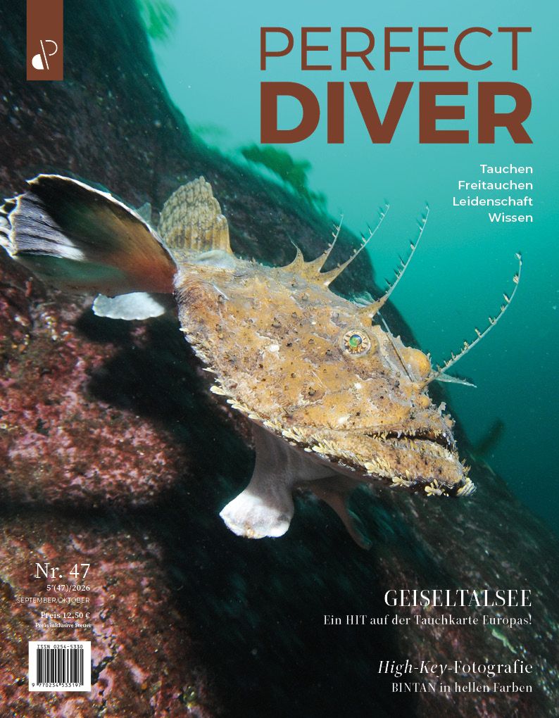 Digitale Ausgabe des Perfect Diver Magazins Nr. 47 (deutsch !!!)