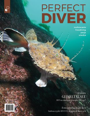 Cyfrowe wydanie Magazyn nurkowy Perfect Diver wydanie nr 47