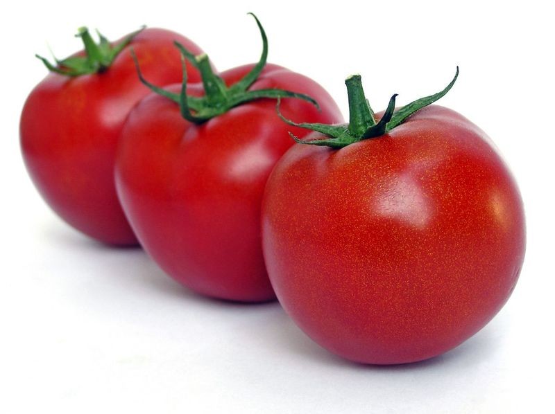 TOMATE (Achat minimum de 50 tonnes)