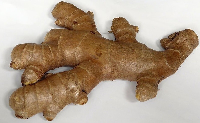 GINGEMBRE (Achat minimum de 50 tonnes)