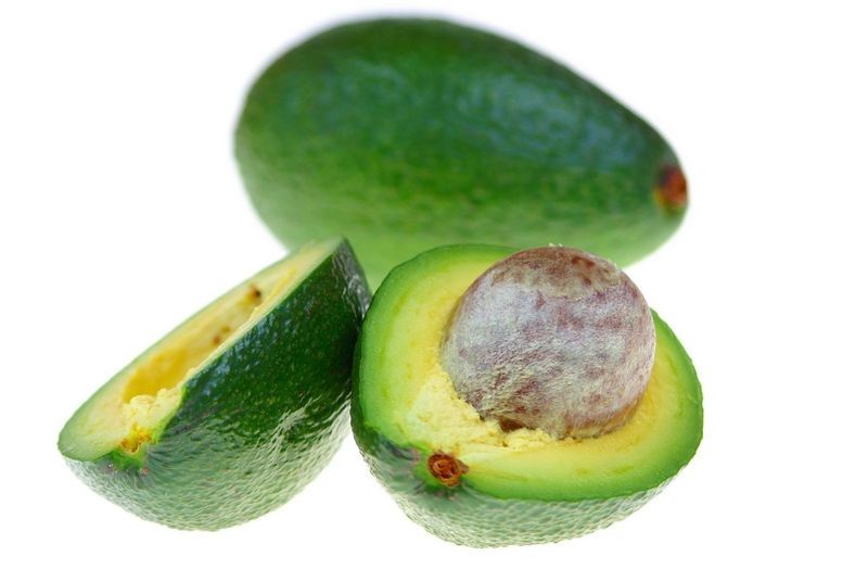 AVOCAT ET AUTRES PRODUITS NUTRITIONNELS OU COSMETIQUES (Achat minimum de 50 tonnes)