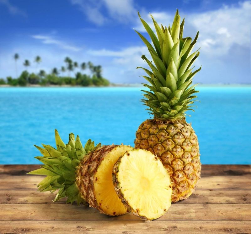 ANANAS ET AUTRES PRODUITS DERIVES (Achat minimum de 50 tonnes)