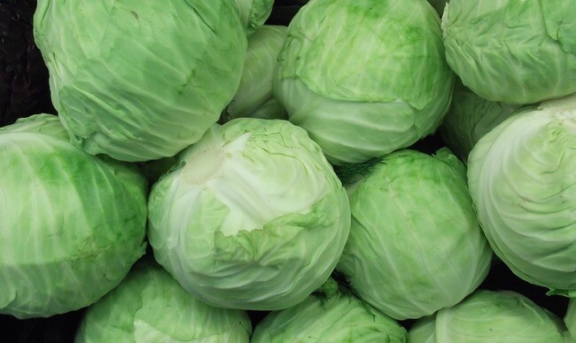 CHOU VERT (Achat minimum de 50 tonnes)