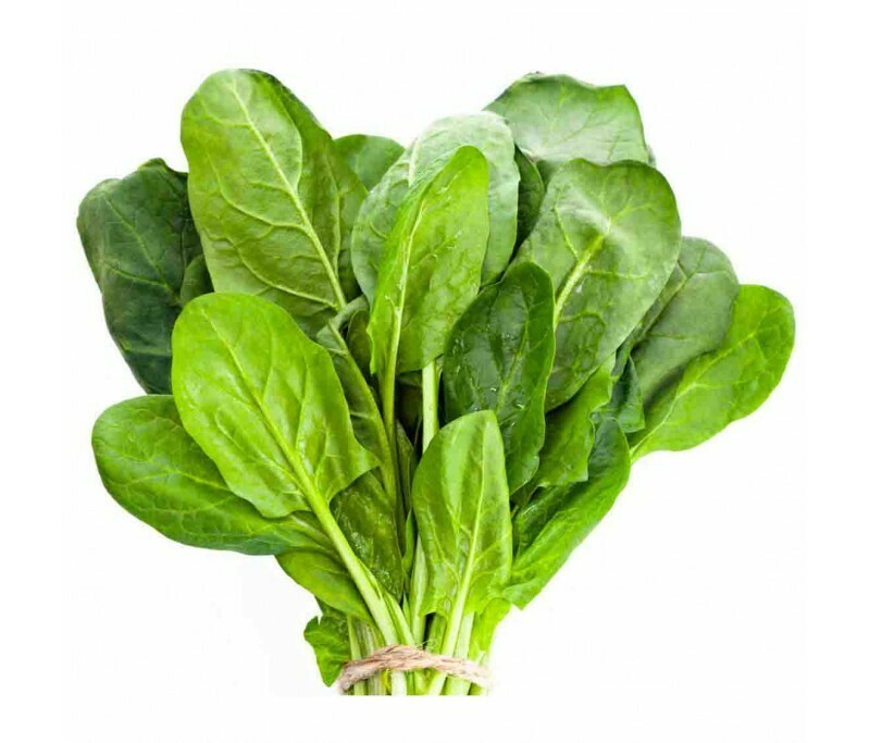FEUILLE D&#39;EPINARD (Achat minimum de 50 tonnes)