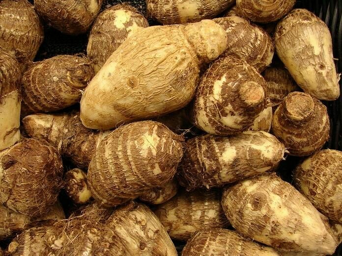 TARO (Achat minimum de 50 tonnes)