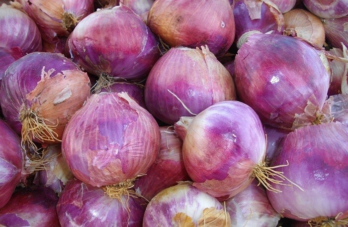 OIGNON NIGER (Achat minimum de 50 tonnes)
