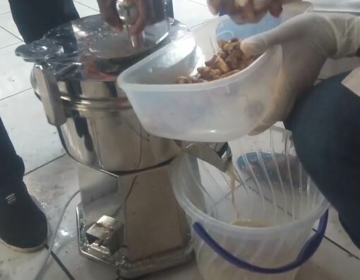 EXTRACTEUR DE JUS DE GINGEMBRE