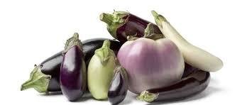 AUBERGINE (Achat minimum de 50 tonnes)
