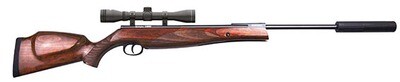 Remington Sabre Air Rifle