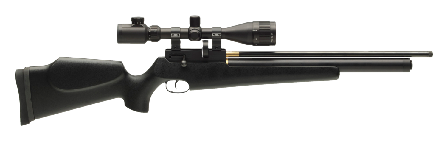 FX T12 Synthetic .22