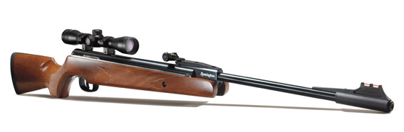 Remington Express Air Rifle